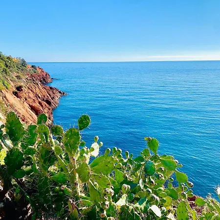 Apartment Superbe 2 Pieces - 4 Couchages - Clim - Parking - Piscine *