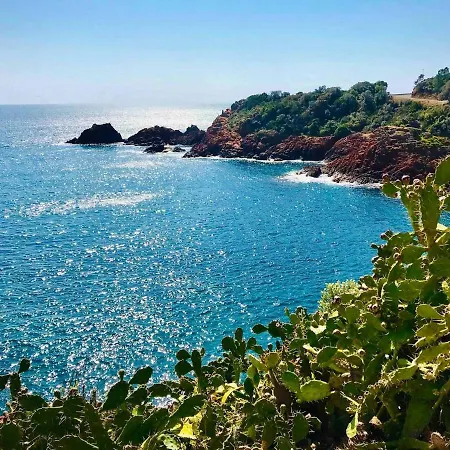 Apartment Superbe 2 Pieces - 4 Couchages - Clim - Parking - Piscine *